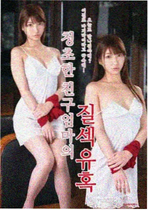 日本理论电影 在线观看 夜之蝶